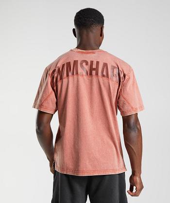 Gymshark Power Washed Muške T Shirts Roze Smeđe | HR 2547FDN